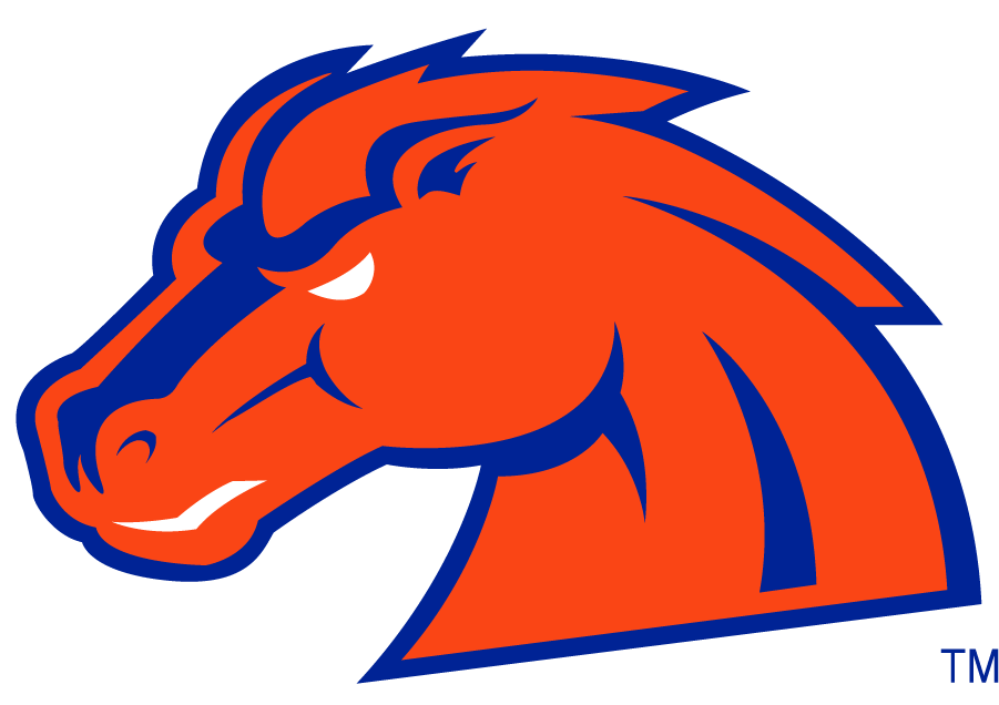 Boise State Broncos 2002-2012 Secondary Logo v14 iron on transfers for clothing